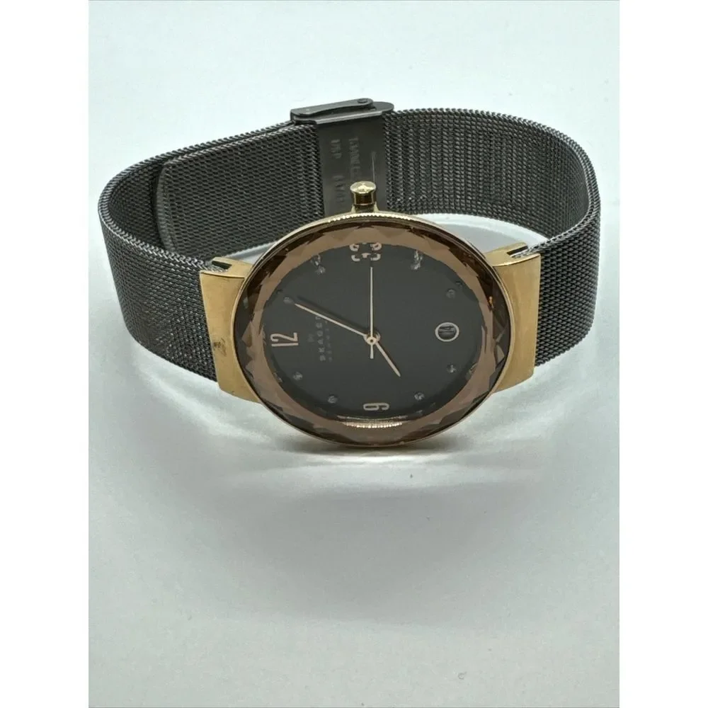 Skagen SKW2120 Women's Gray Stainless Steel Mesh Analog Dial Quartz Watch JNA916